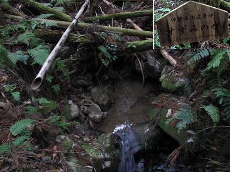 20140105hike (122)